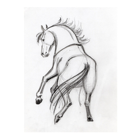Набросок лошади