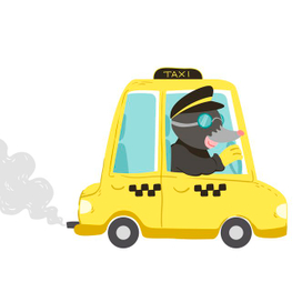 Слепой шофёр такси