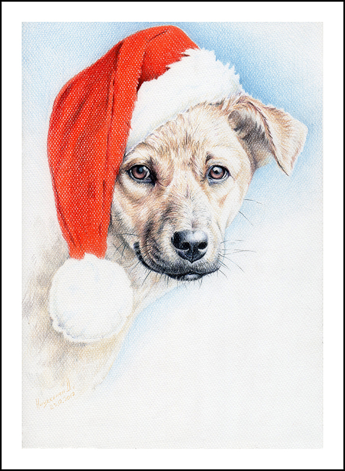 Новогодний пёс