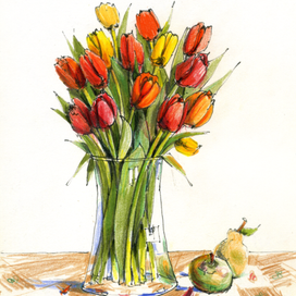Тюльпаны