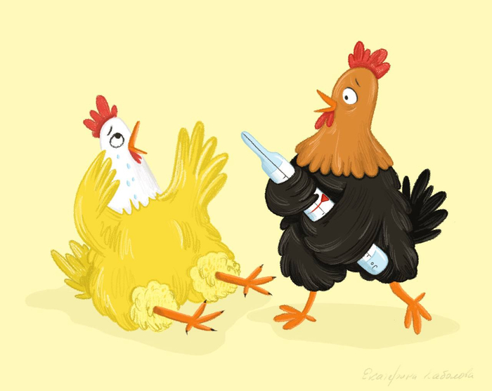 Друг познается в беде! Друзья в курятнике