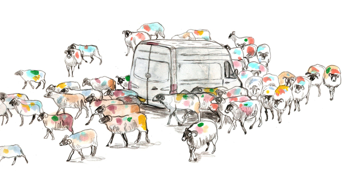 LIMEGREENIT SHEEP TRAFFIC