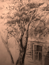 "Вид из окна"