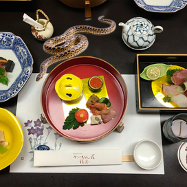 нежданная гостья