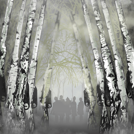 А зори здесь тихие...