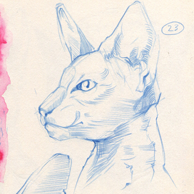 Наброски животных