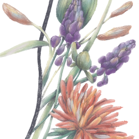 Цветы&любовь