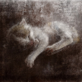 Младенчество