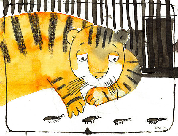 Про тигренка