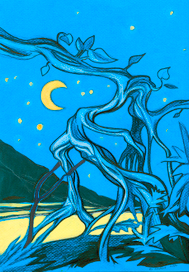 таинственная ночь