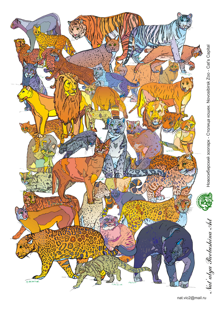 Новосибирский зоопарк - столица кошек