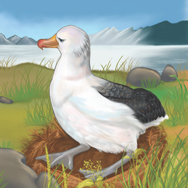 Серия "Любимая мама", альбатрос