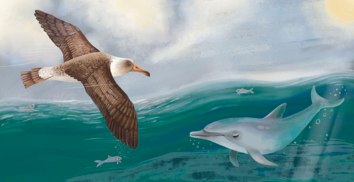 Кто как спит. Издательство Робинс