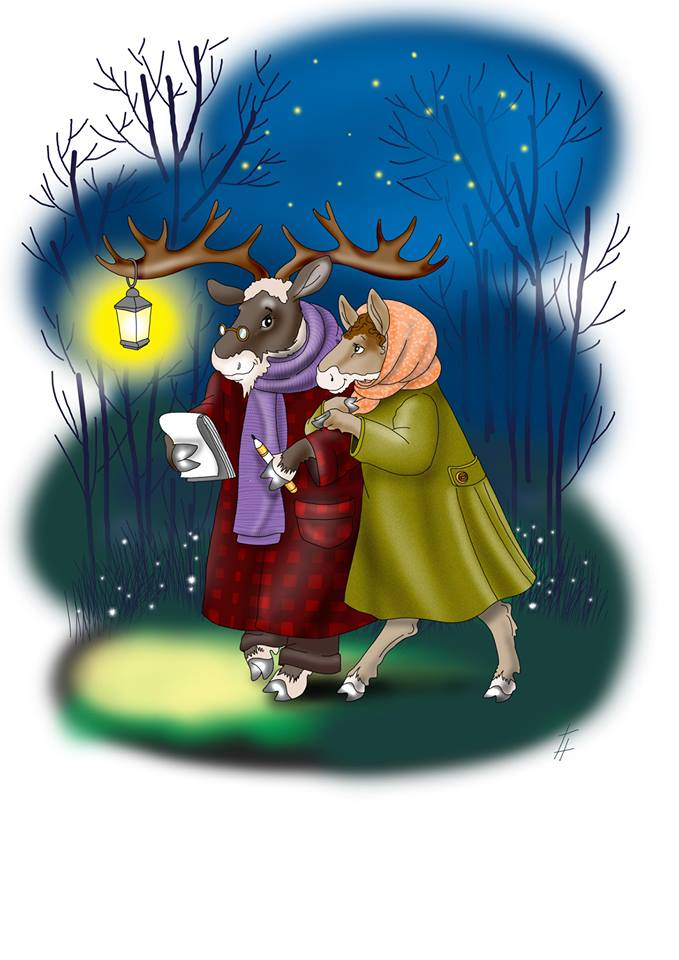 вечерняя прогулка