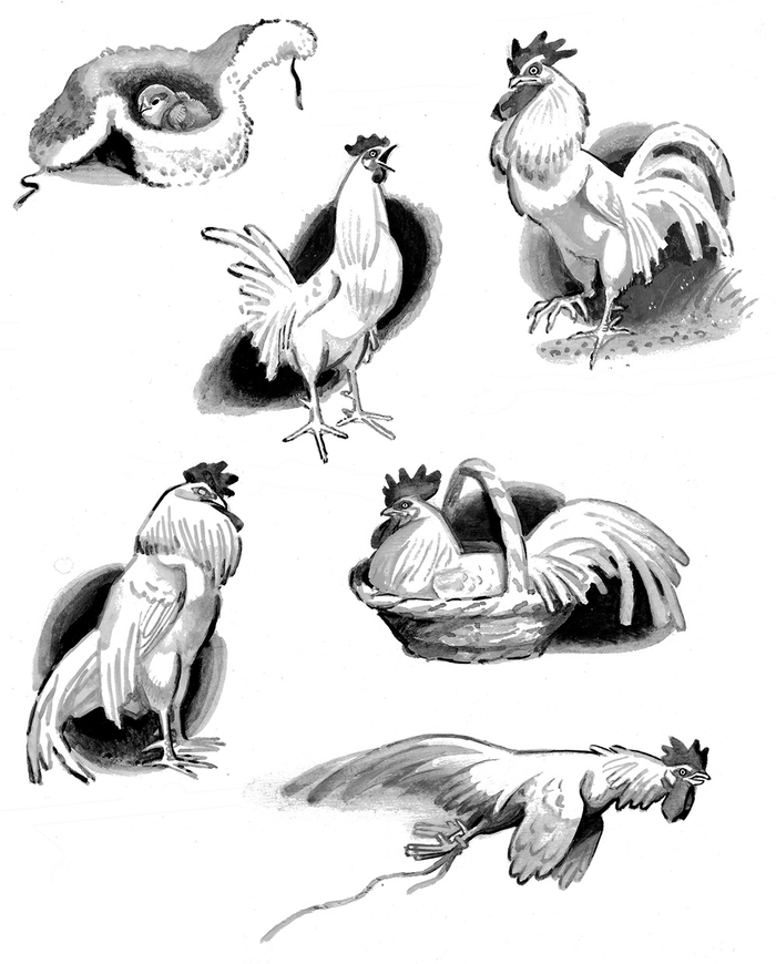 Оборки к "Питкин, Кис и хозяйка"