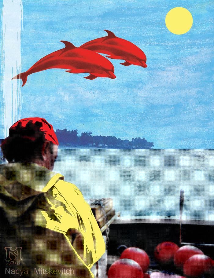 Иллюстрация к книге С.Курилова "Один в океане"