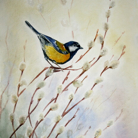 Синица на вербе