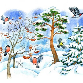 Ждем весну!