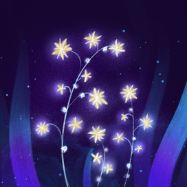 Звёздный цветок