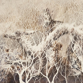 Среди белых ветвей