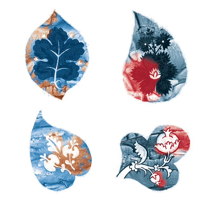 Жемчужина концовки