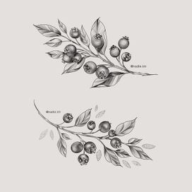 Веточки черники