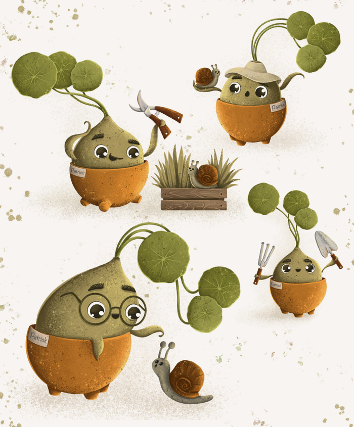 Растение Патрик