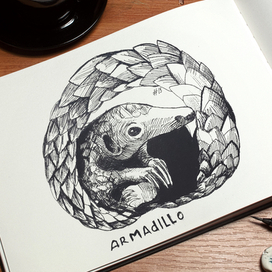 броненосец