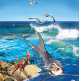 А дельфины добрые, а дельфины мокрые....