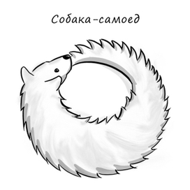 Собака-самоед