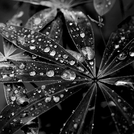 После дождя