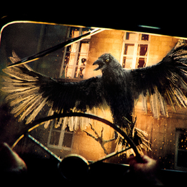 - Прочь! Прочь!