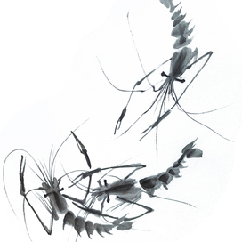 Три креветки