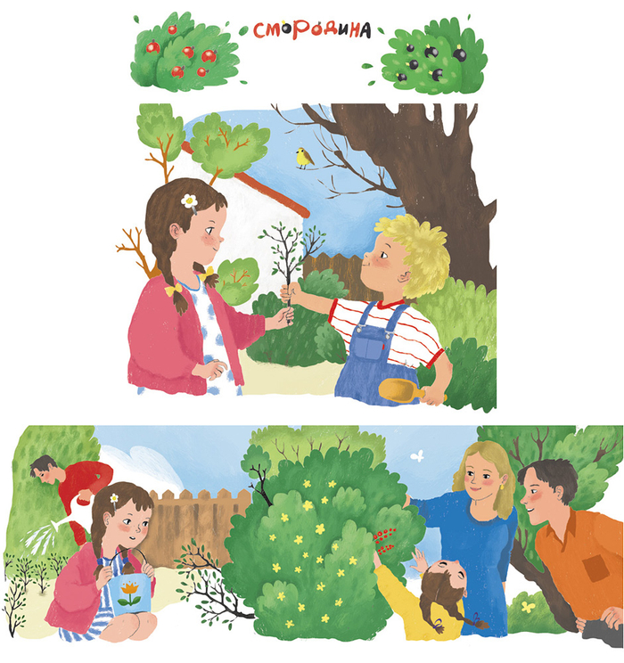 про смородину