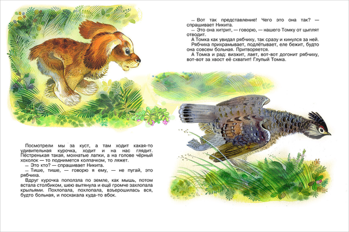 "Первая охота" Е. Чарушин