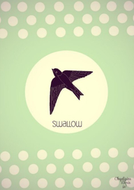 Swallow_mint