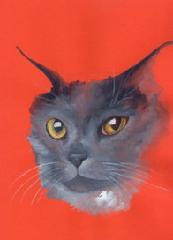 кошачий портрет (х 6)