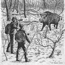 Ты чё, кабан?!