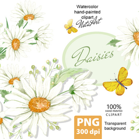Ромашки акварель