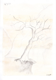 Дерево в горах