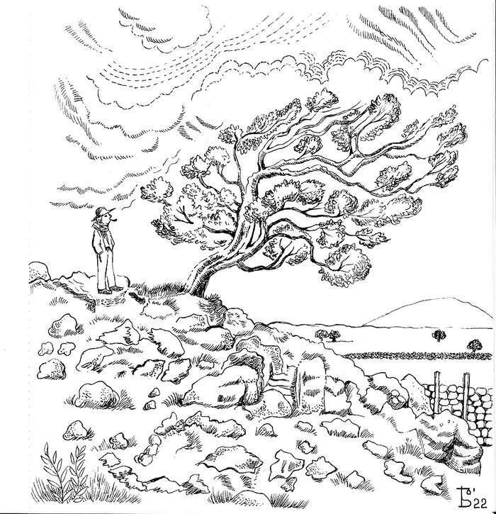 Ирландский пейзаж