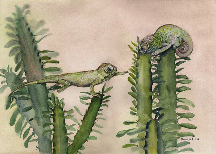 Игра в салочки