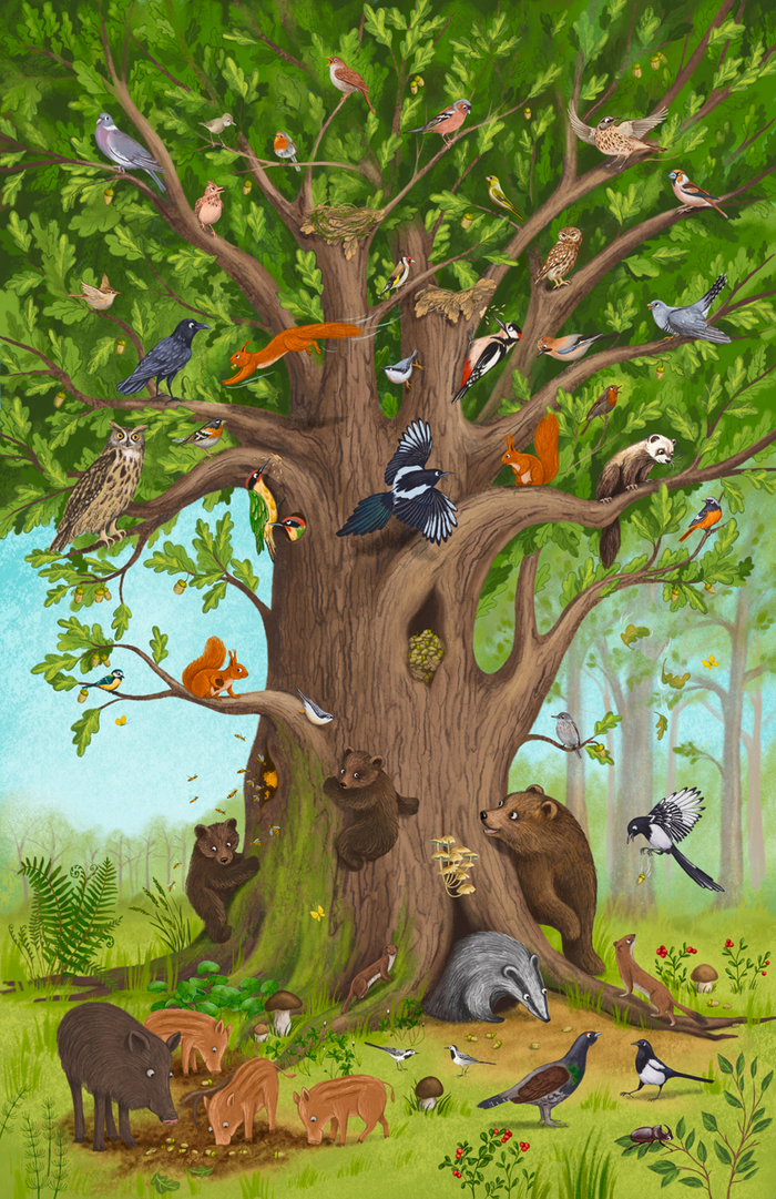 Большой дуб