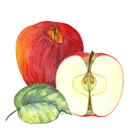 Красные яблоки