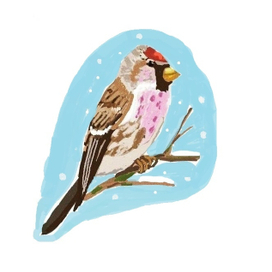 Птица зимой