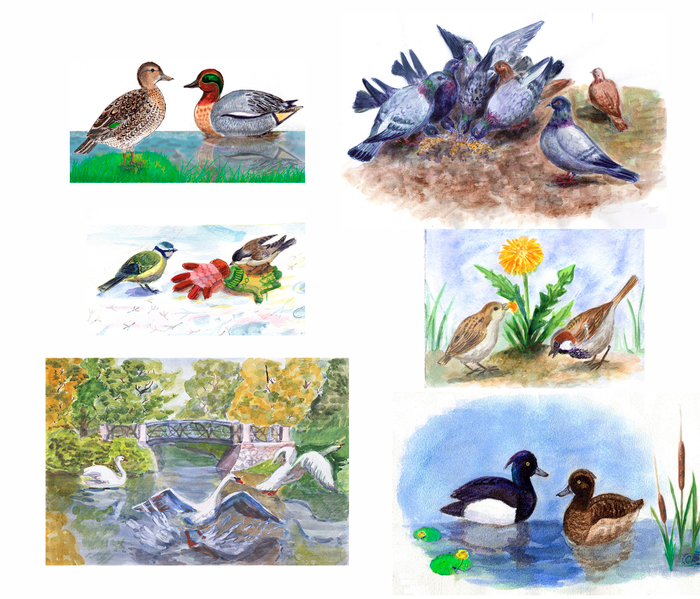 Из жизни птиц