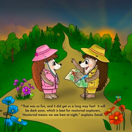 Ежики путешественники