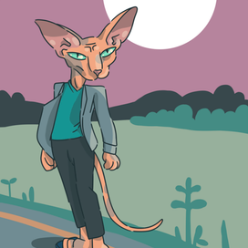 Кот, луна, скейт