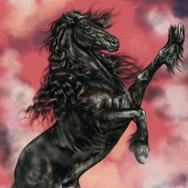 Фризский жеребец