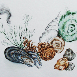 "Озёрные сокровища"